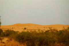 view from the terrace of Sahara Passion